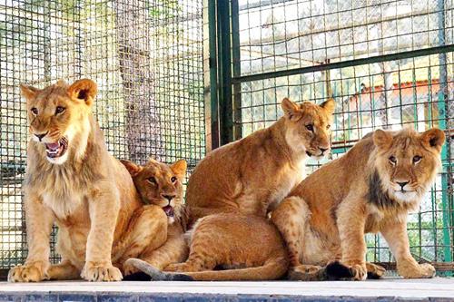 Zoo
