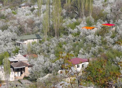 Countryside