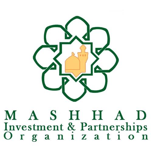 Investment & Partnerships Organization 